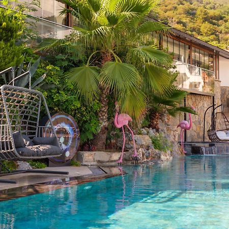 Illusion Beach & Clubhotel - Adults Only Alanya Extérieur photo